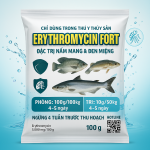 ERYTHROMYCIN FORT – ĐẶC TRỊ NẤM MANG & “ĐEN MIỆNG” CHO THỦY SẢN